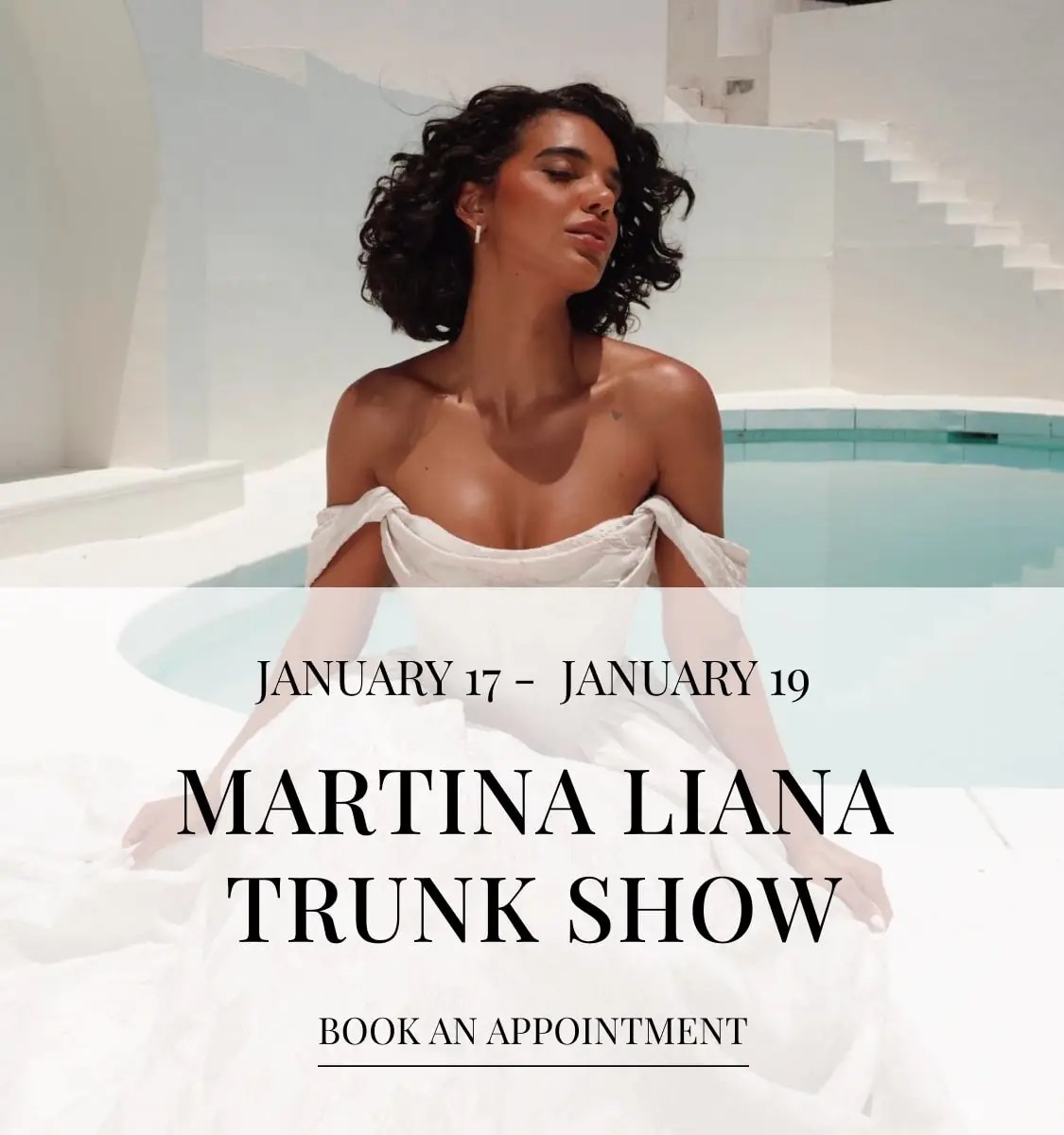 Martina Liana Trunk Show desktop banner